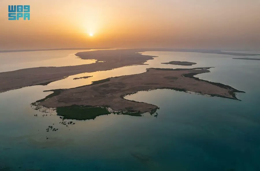 جزر فرسان