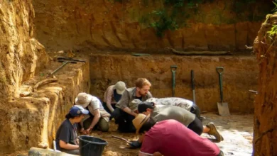 استخدام البشر الأوائل للنار بشكل متعمد