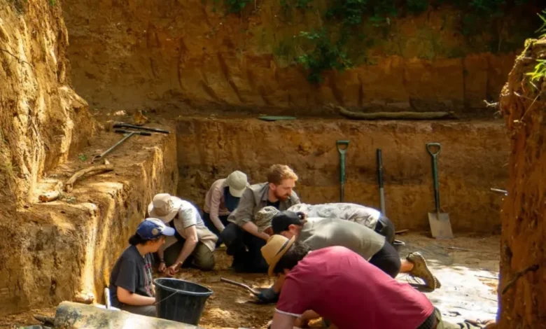 استخدام البشر الأوائل للنار بشكل متعمد