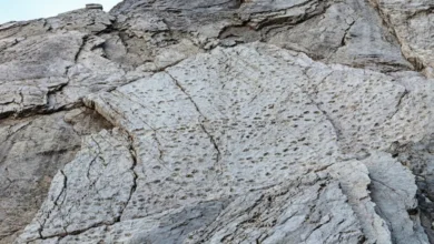 جبال الألب الإيطالية