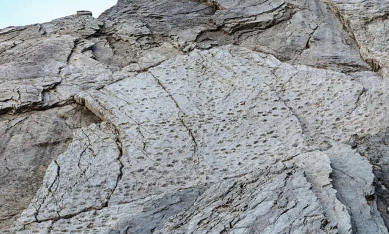 جبال الألب الإيطالية