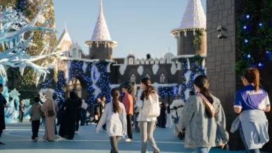 ونتر وندرلاند