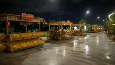 تجربة تجمع بين أصالة التراث وجمال الطبيعة