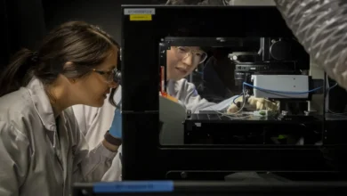 ابتكار قلوب صغيرة مزروعة في المختبر