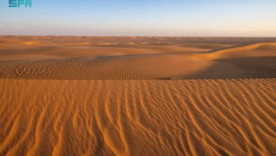 الربع الخالي