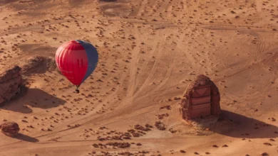 مهرجان البحر الأحمر