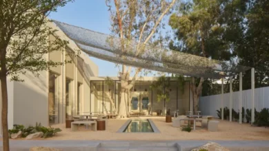 ذا ميلد كونسبت