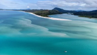 الحاجز المرجاني العظيم