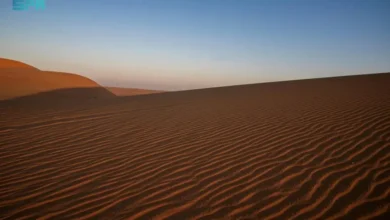 الربع الخالي