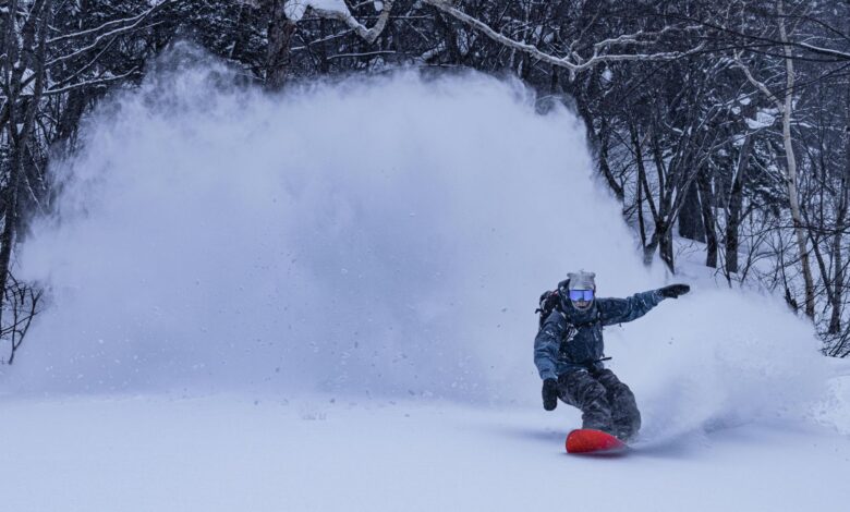 الجزيرة غابة يابانية يغطيها ثلج الجابو الناعم