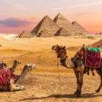 مصر
