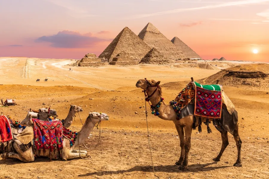 مصر
