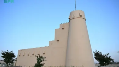 المجسمات الجمالية بنجران