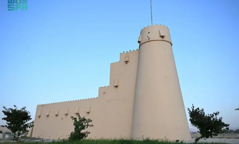 المجسمات الجمالية بنجران