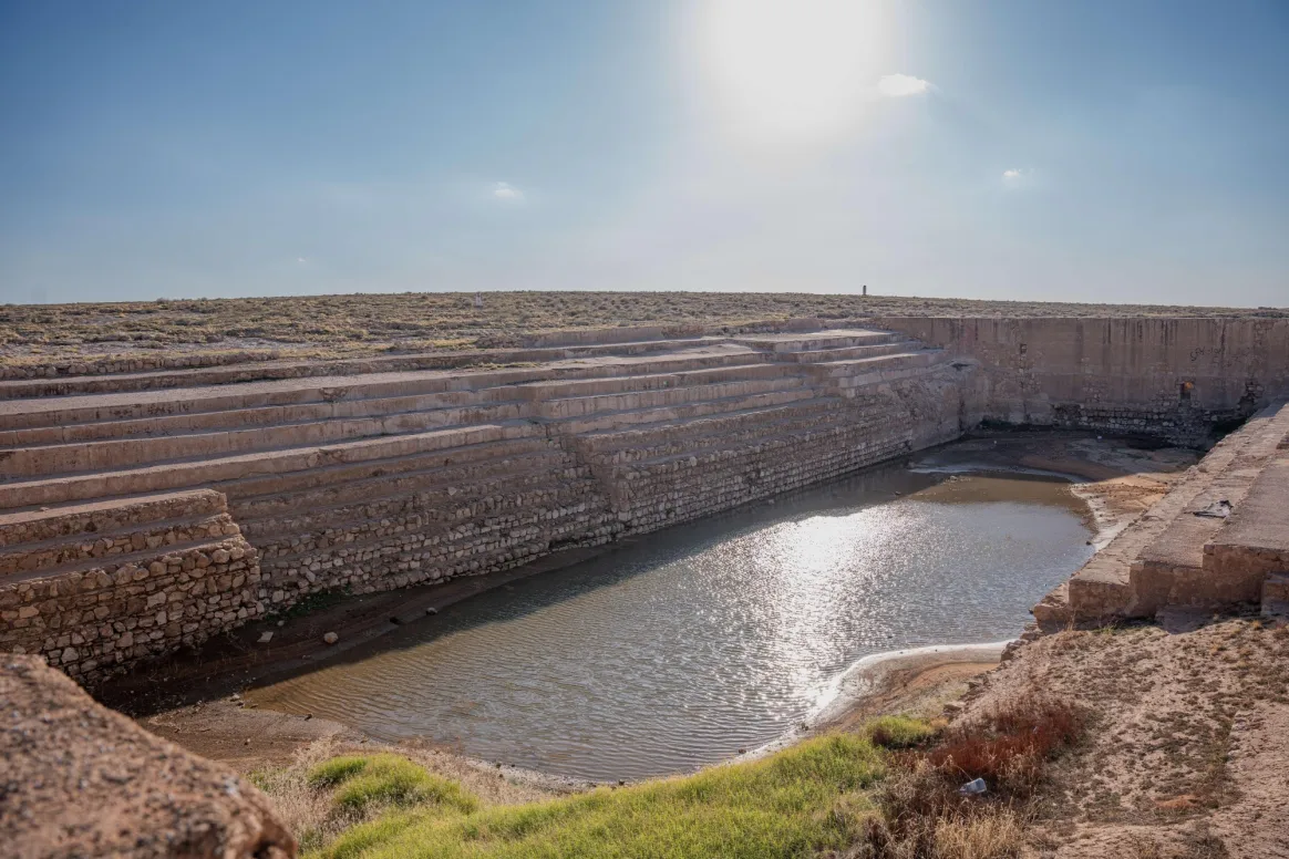 بركة العشار