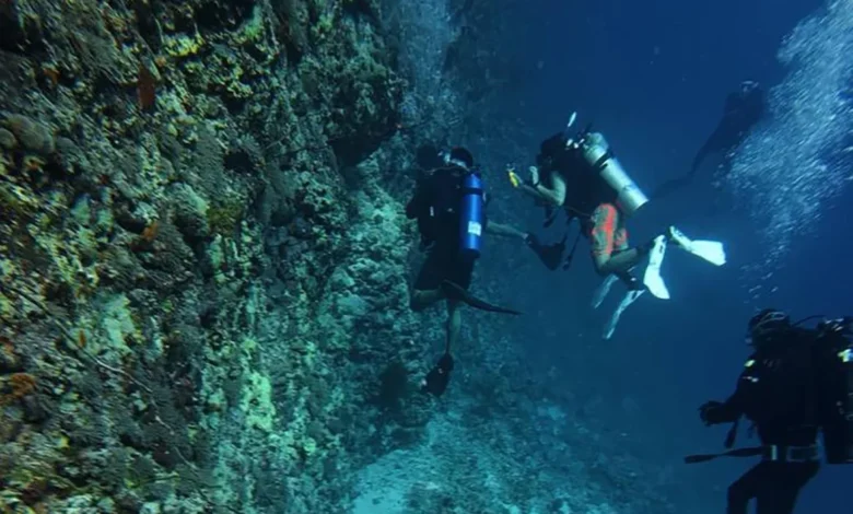 الغوص في جازان