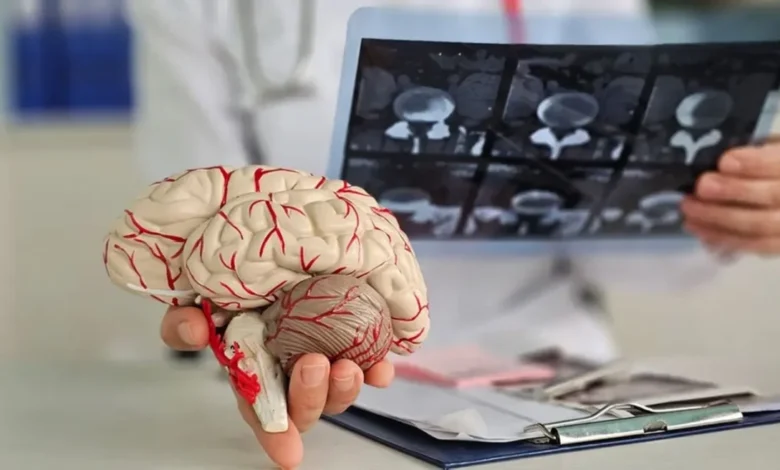 الدماغ البشري