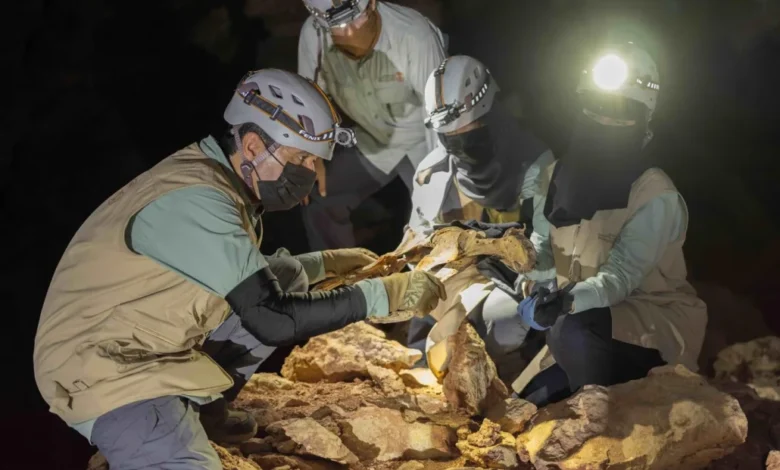 اكتشاف فهود مُحنطة