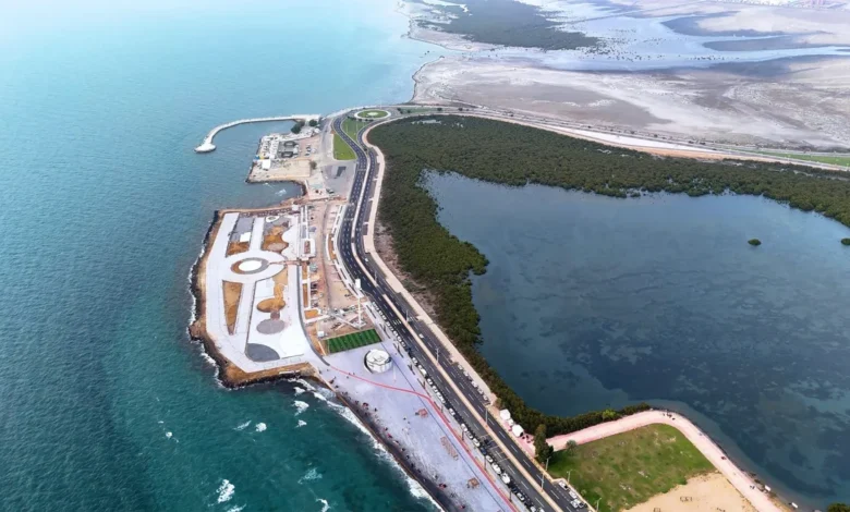 جزيرة المرجان