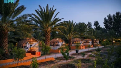 مزارع الباحة