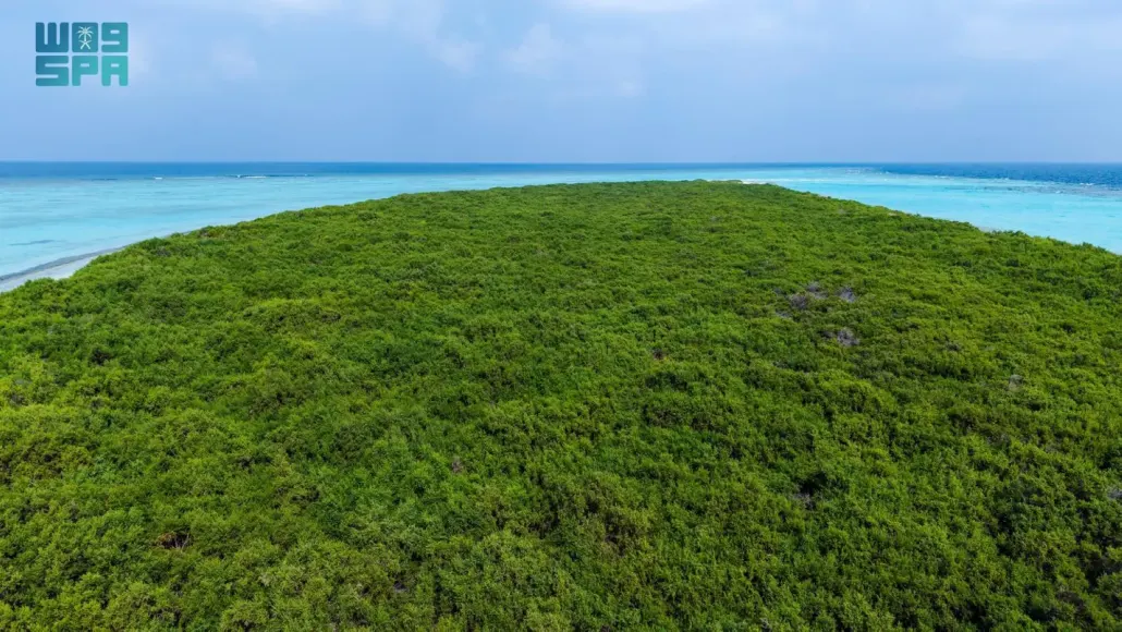 جزيرة مرمر
