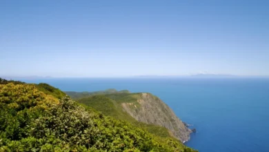 جزيرة كابيتي هي أقدم محمية طبيعية في نيوزيلندا