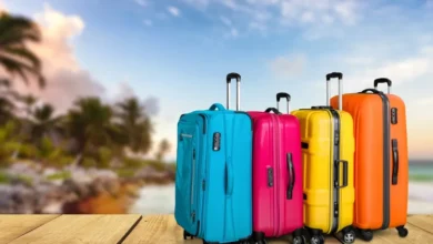 حقيبة السفر