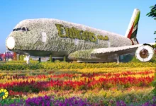 دبي ميراكل جاردن