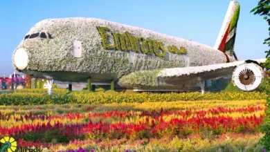 دبي ميراكل جاردن