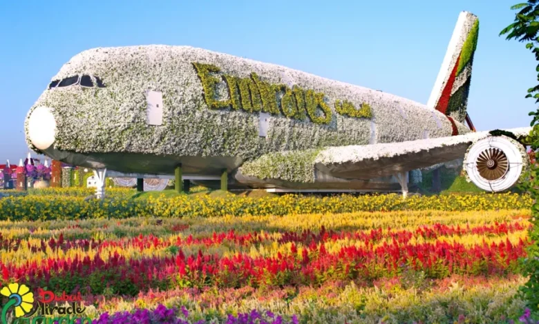 دبي ميراكل جاردن