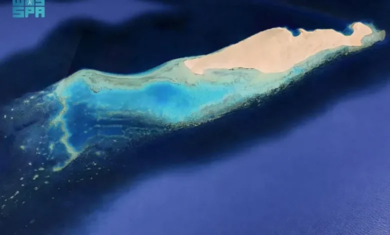 جزيرة النعمان