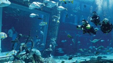 أتلانتس دبي