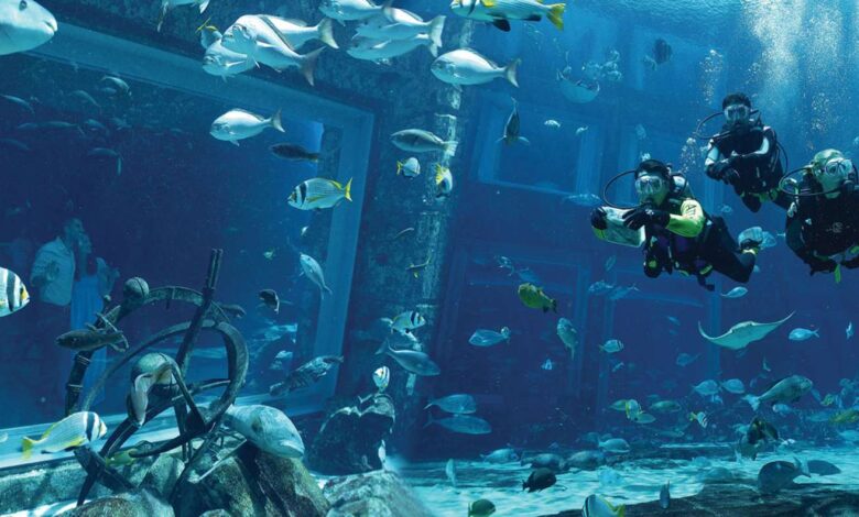 أتلانتس دبي