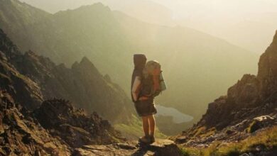 إجازتك السنوية