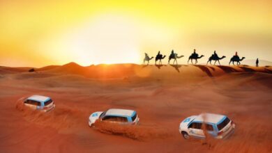 رحلات السفاري في دبي