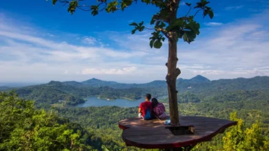 يوجياكارتا