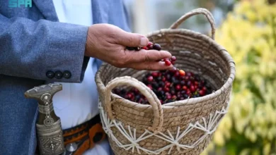 مزارع البُن في جبال منطقة جازان