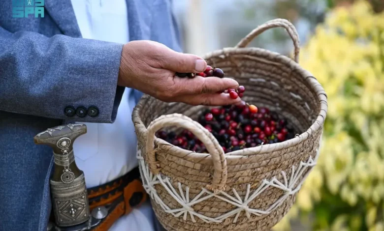 مزارع البُن في جبال منطقة جازان