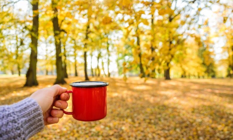 السفر في فصل الخريف