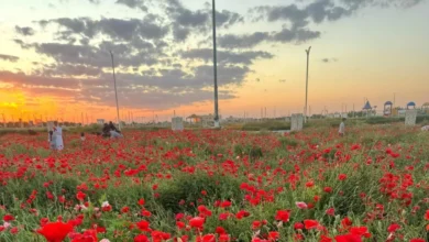 متنزّه ربيع الصداوي