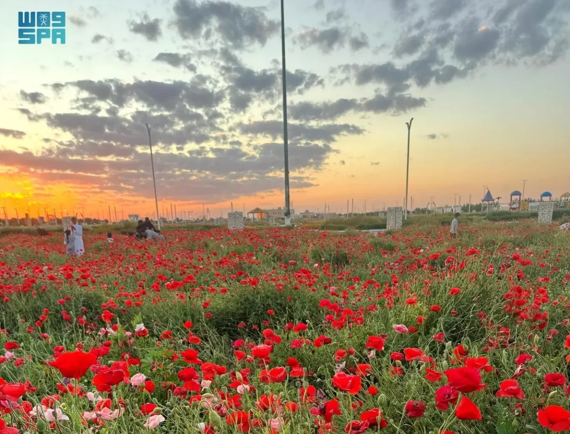 متنزّه ربيع الصداوي