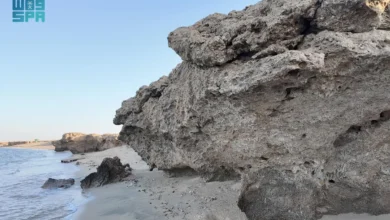 شاطئ الشعيبة