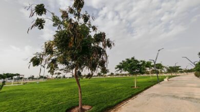 حديقة الأمير تركي