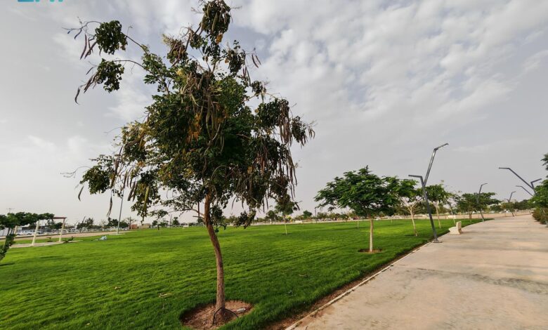 حديقة الأمير تركي