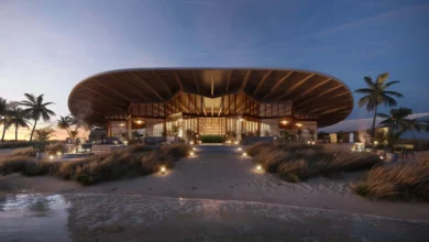 نتجع إديشن البحر الأحمر