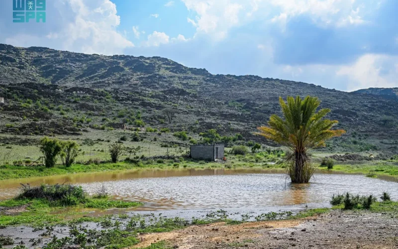 أمطار الباحة تشكل شلالات موسمية على الصخور وتغيّر ملامح 5 أودية دفعة واحدة