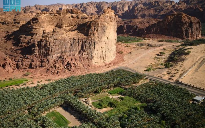 العُلا تحتضن 6 محميات طبيعية في أسبوع البيئة 2026 تحت شعار أثرك أخضر