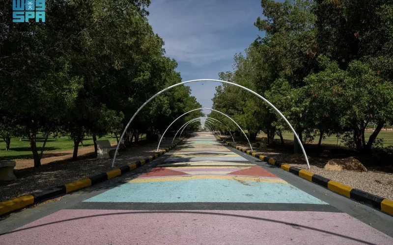 متنزه الملك عبدالعزيز يرسخ حضوره كواجهة ترفيهية وسياحية في شرورة