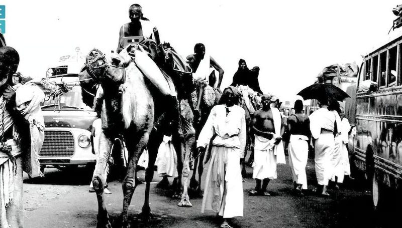 6 قرون من تطور النقل حولت رحلة الحج من أشهر على الإبل إلى 120 دقيقة بالقطار