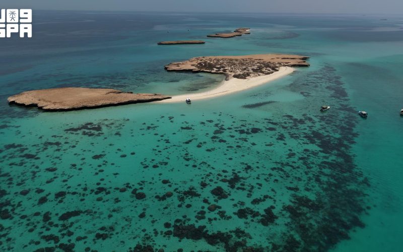 5 مشاهد طبيعية مميزة في جزيرة أبو شوراية ضمن فرسان السعودية